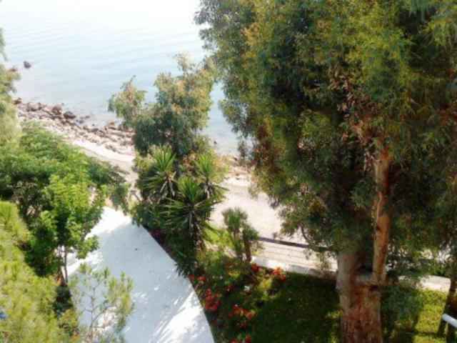 Tzeni Villa リジア エクステリア 写真