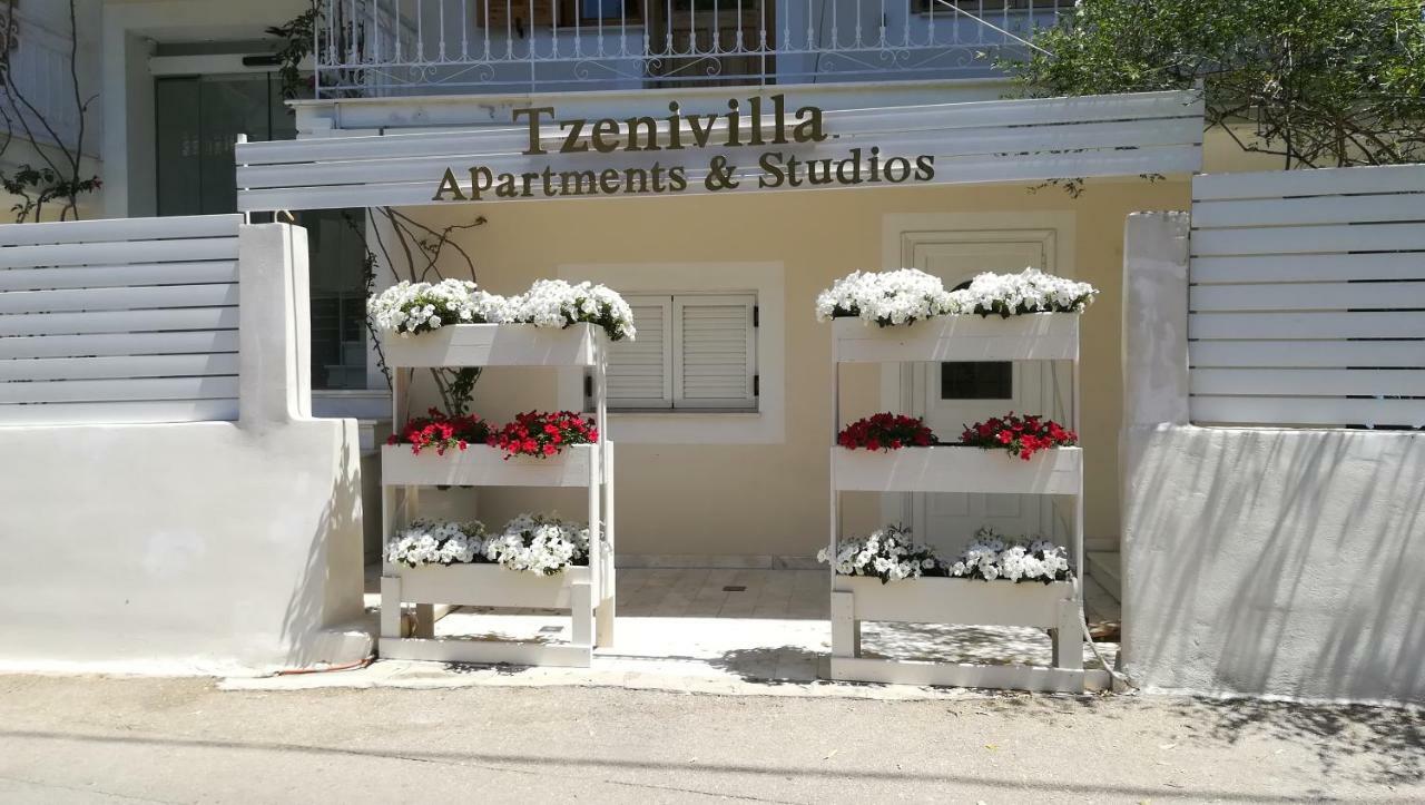 Tzeni Villa リジア エクステリア 写真
